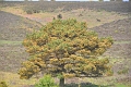 25 05 10_0733_edited-1